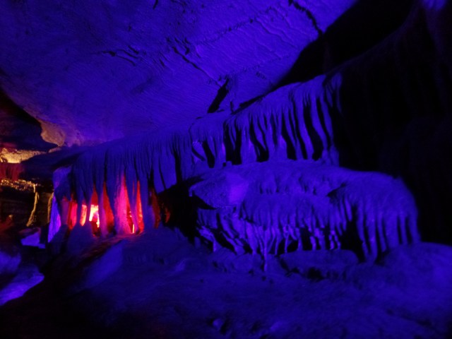 SAMSUNG CAMERA PICTURES