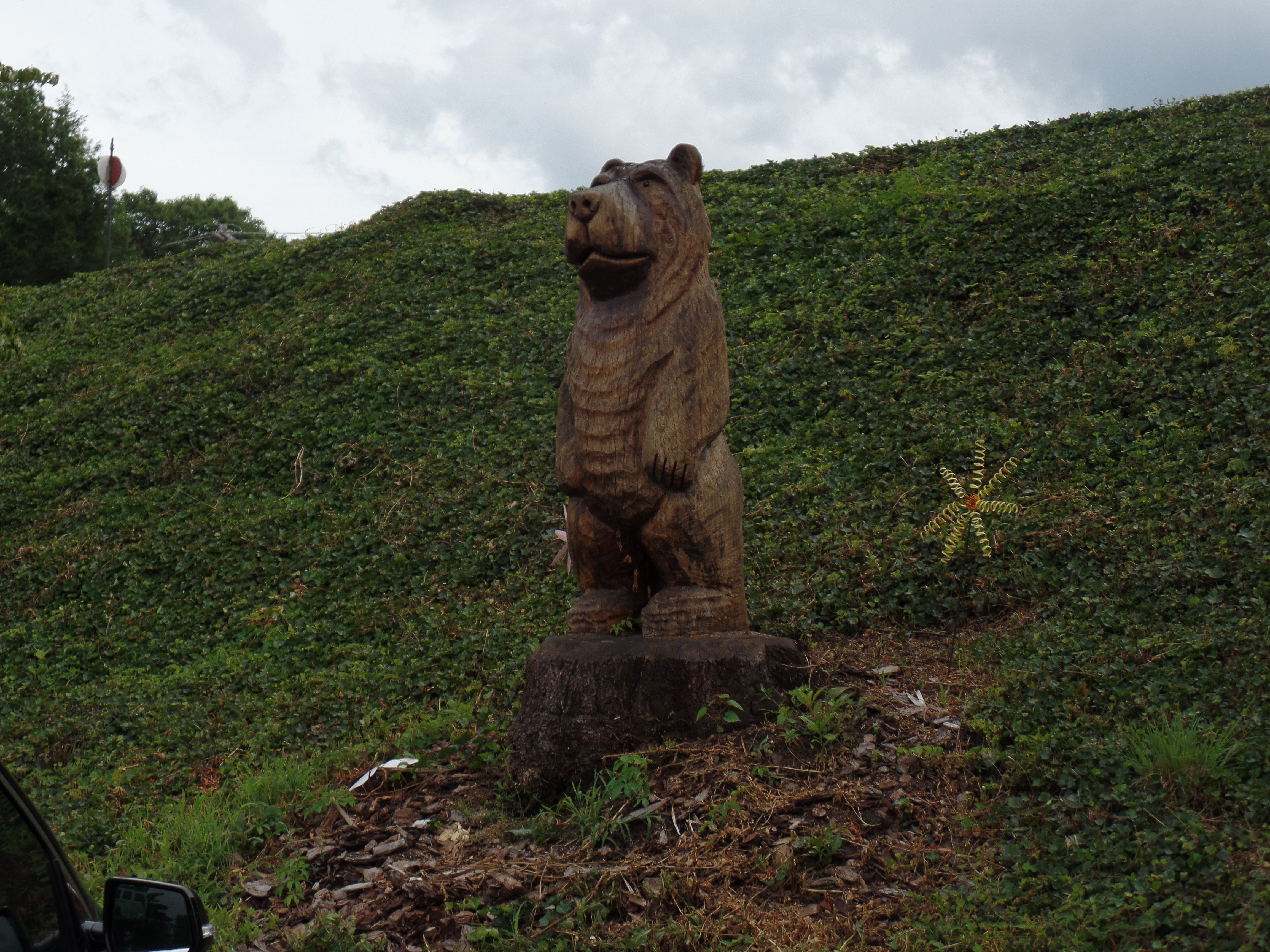 SAMSUNG CAMERA PICTURES