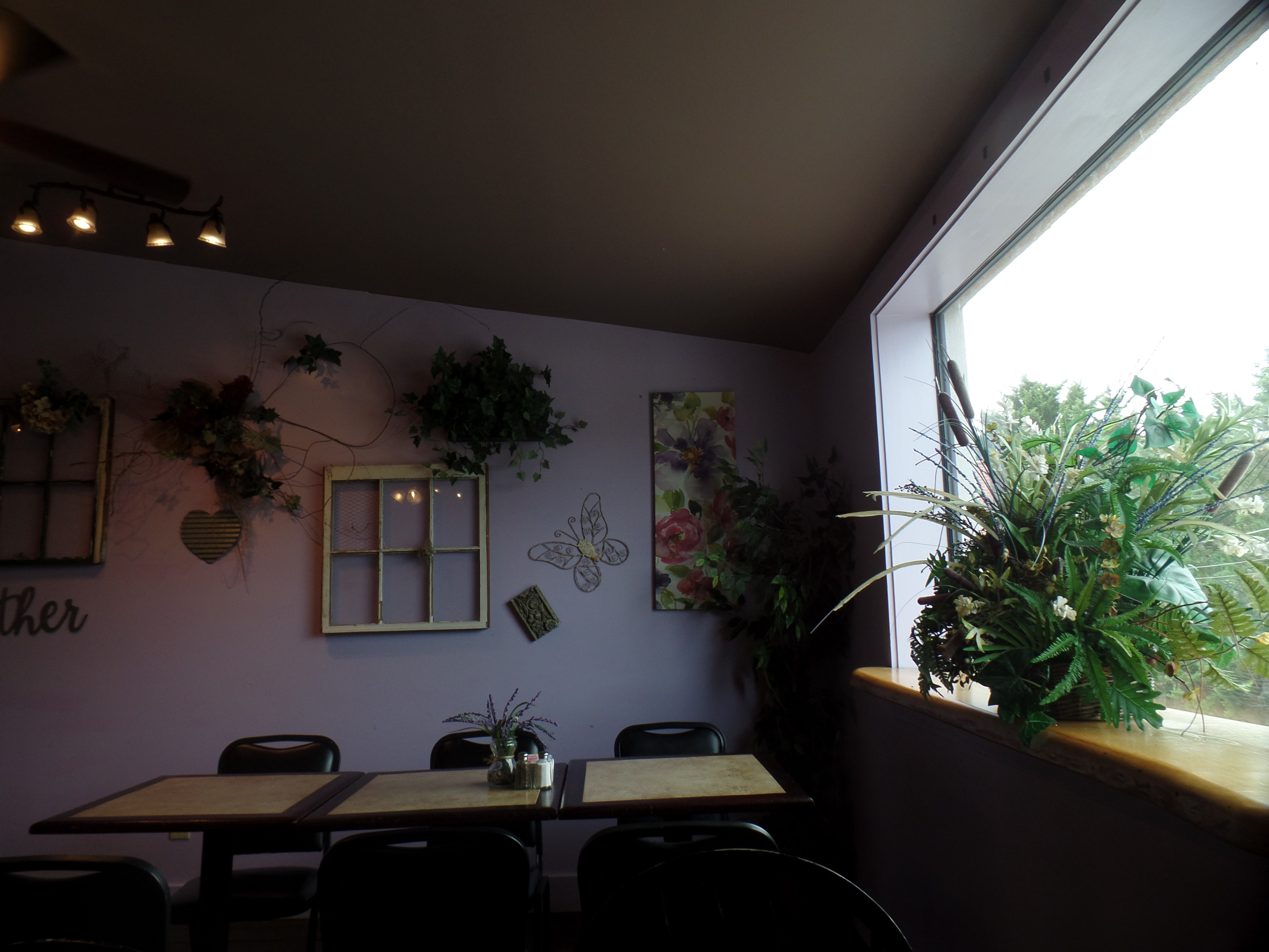 SAMSUNG CAMERA PICTURES