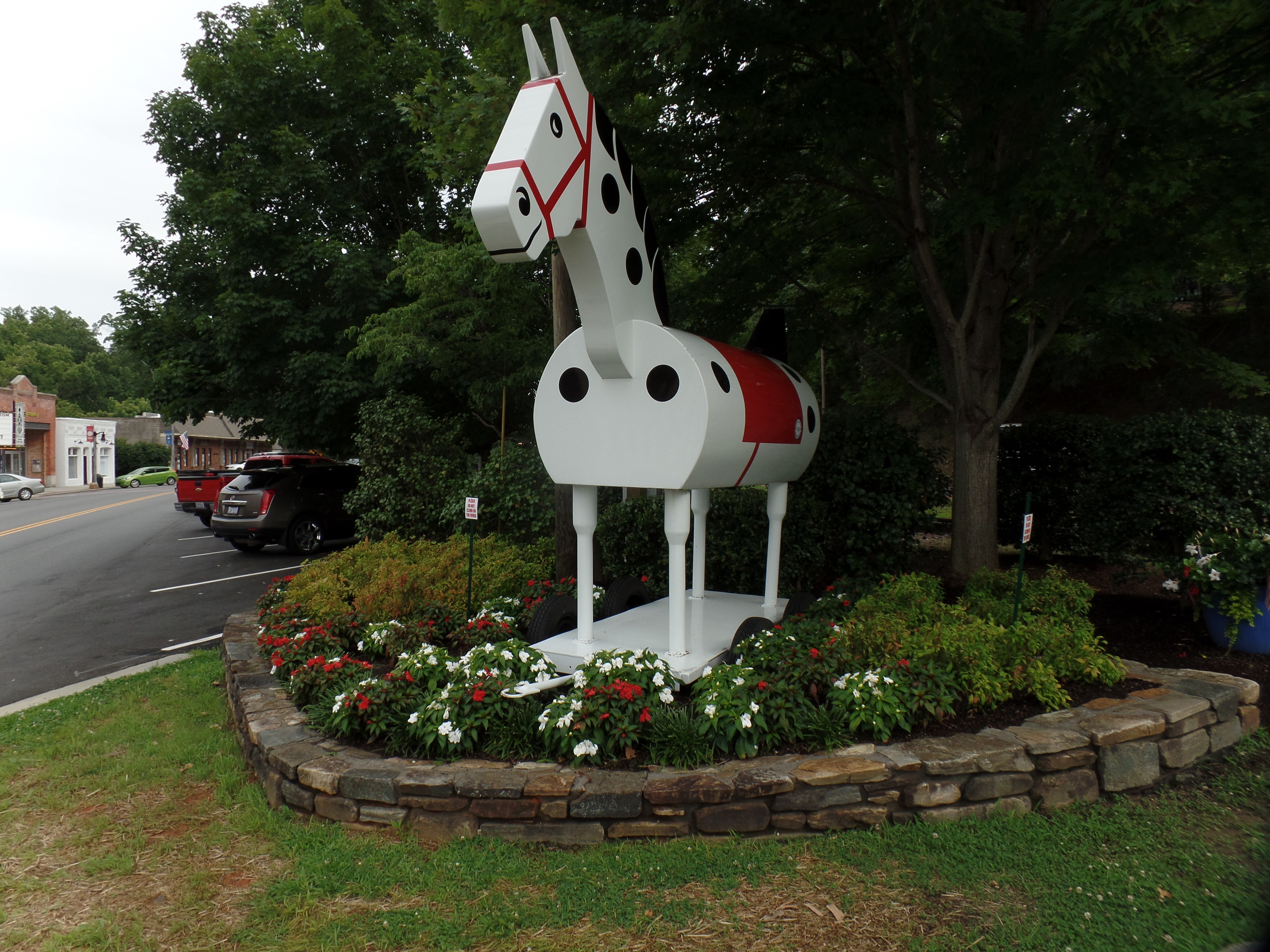 SAMSUNG CAMERA PICTURES