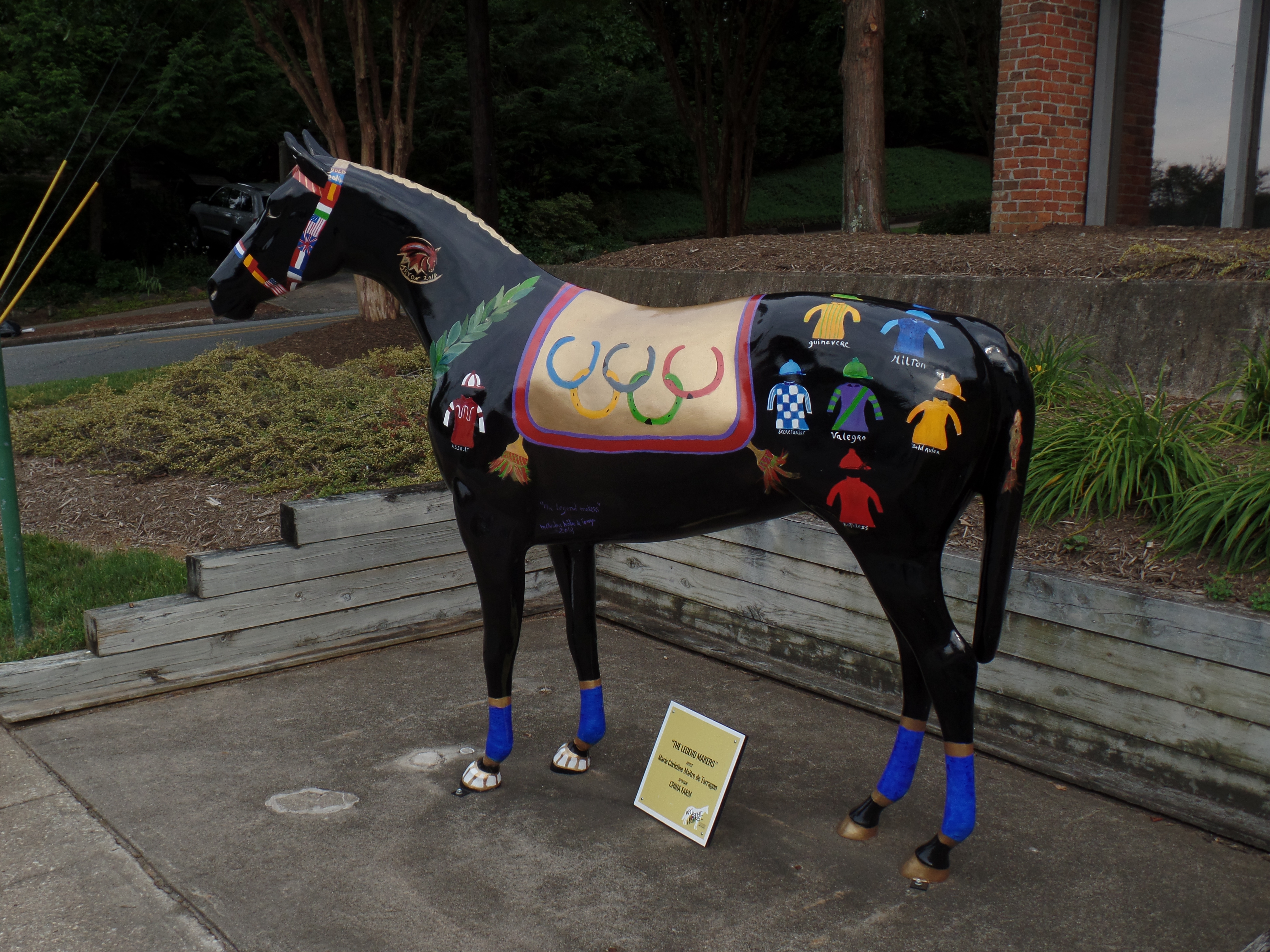 SAMSUNG CAMERA PICTURES