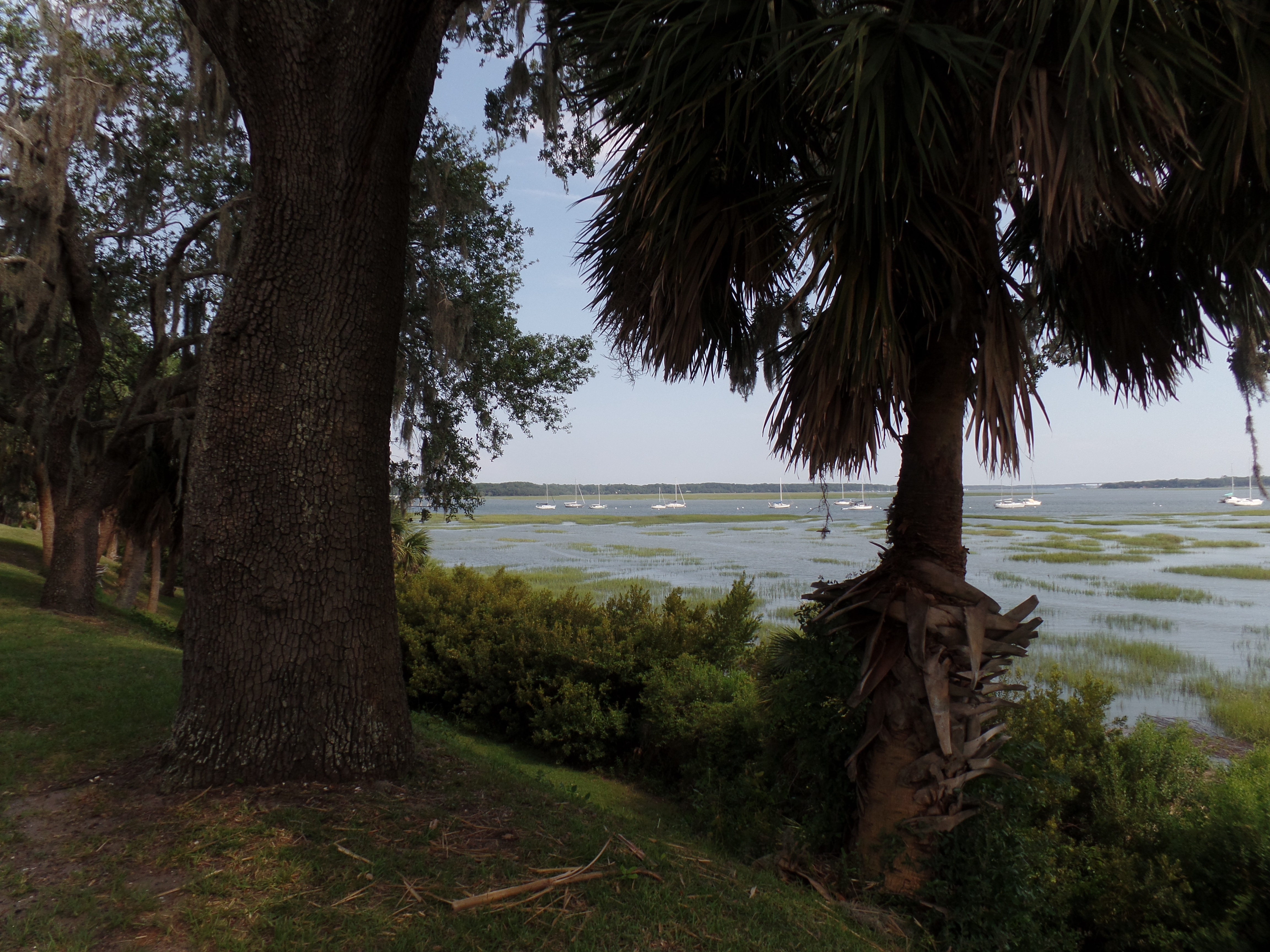 SAMSUNG CAMERA PICTURES