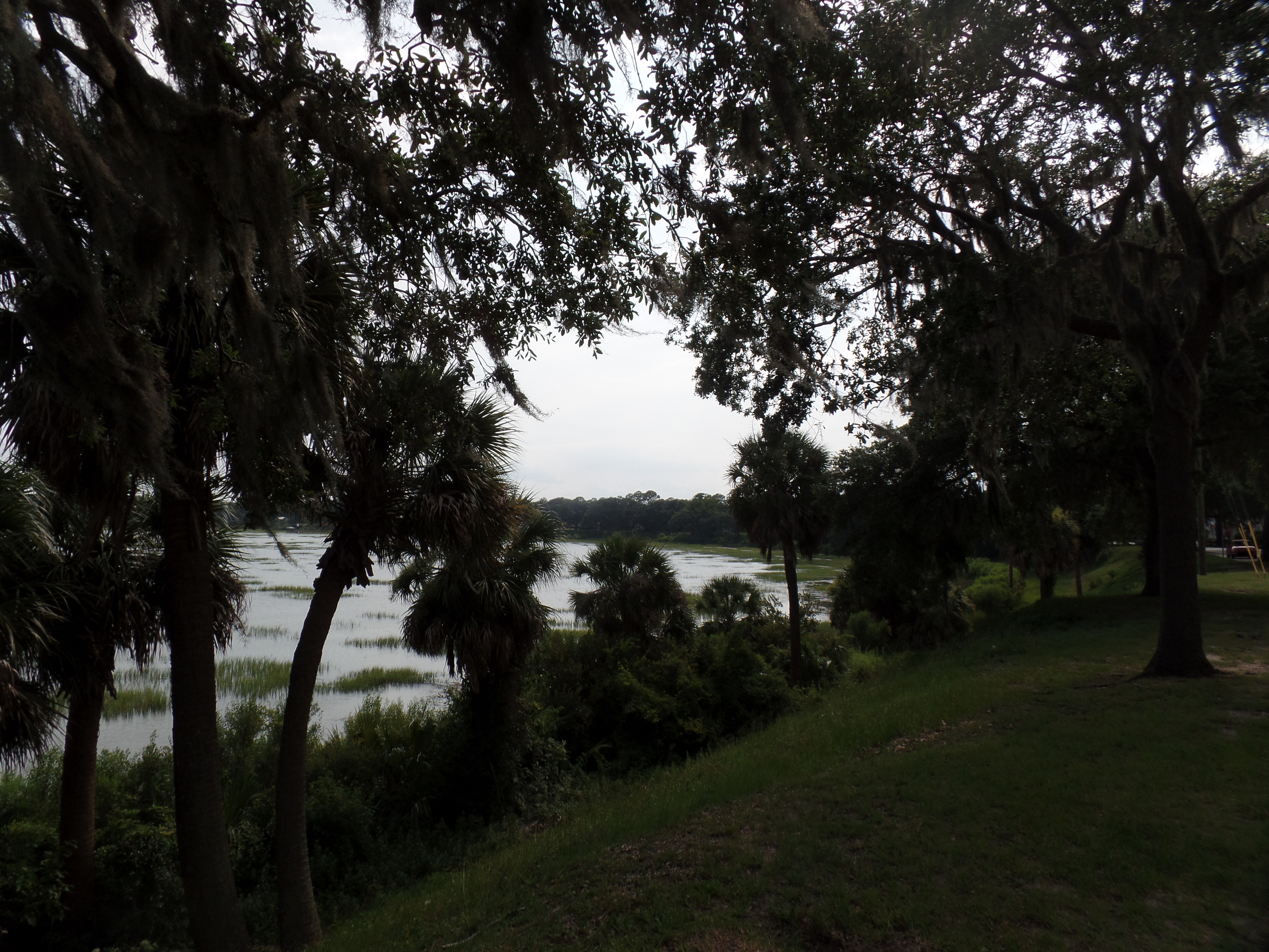 SAMSUNG CAMERA PICTURES