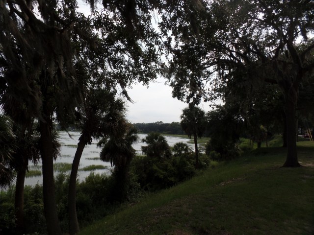 SAMSUNG CAMERA PICTURES