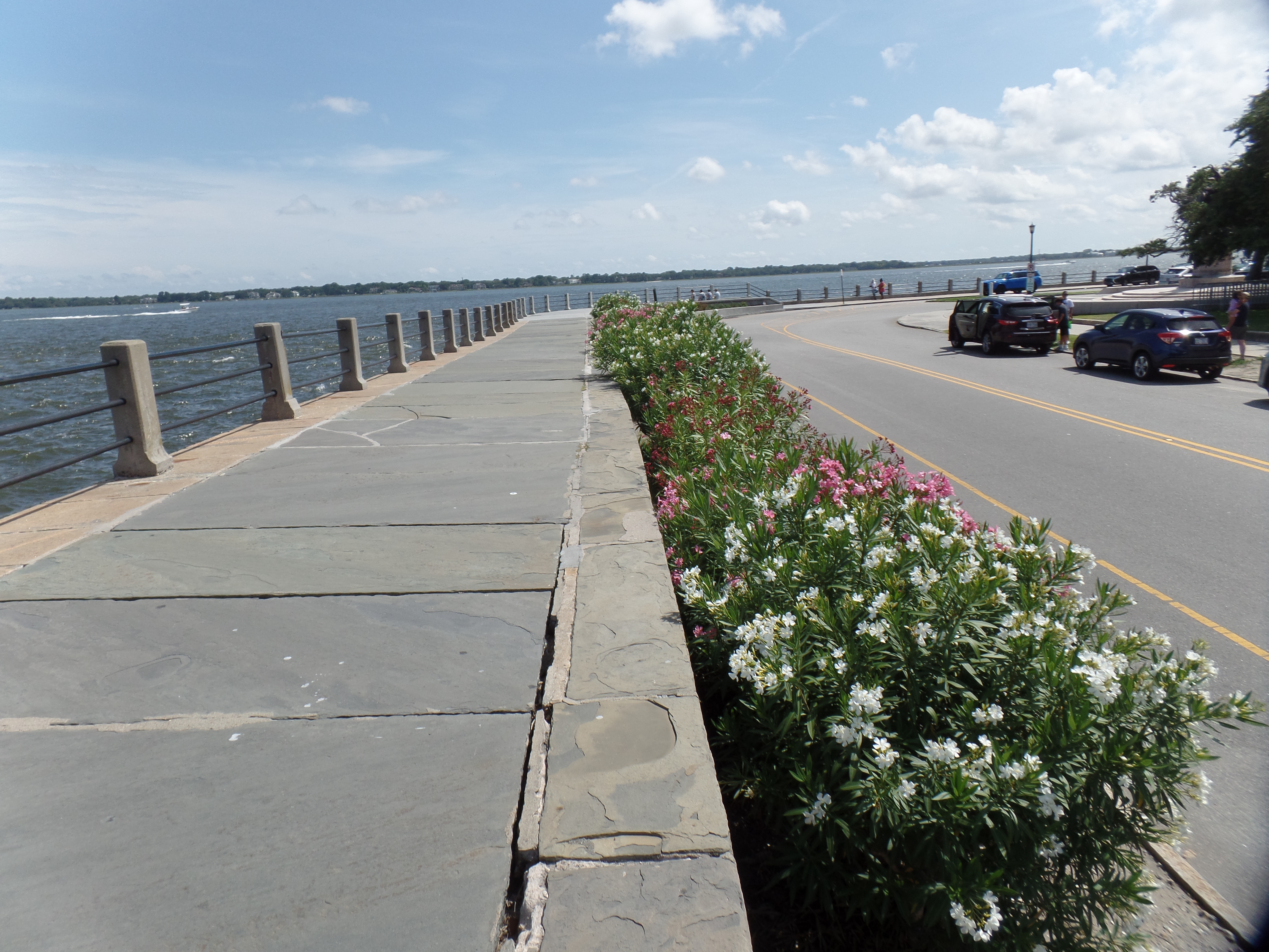 SAMSUNG CAMERA PICTURES