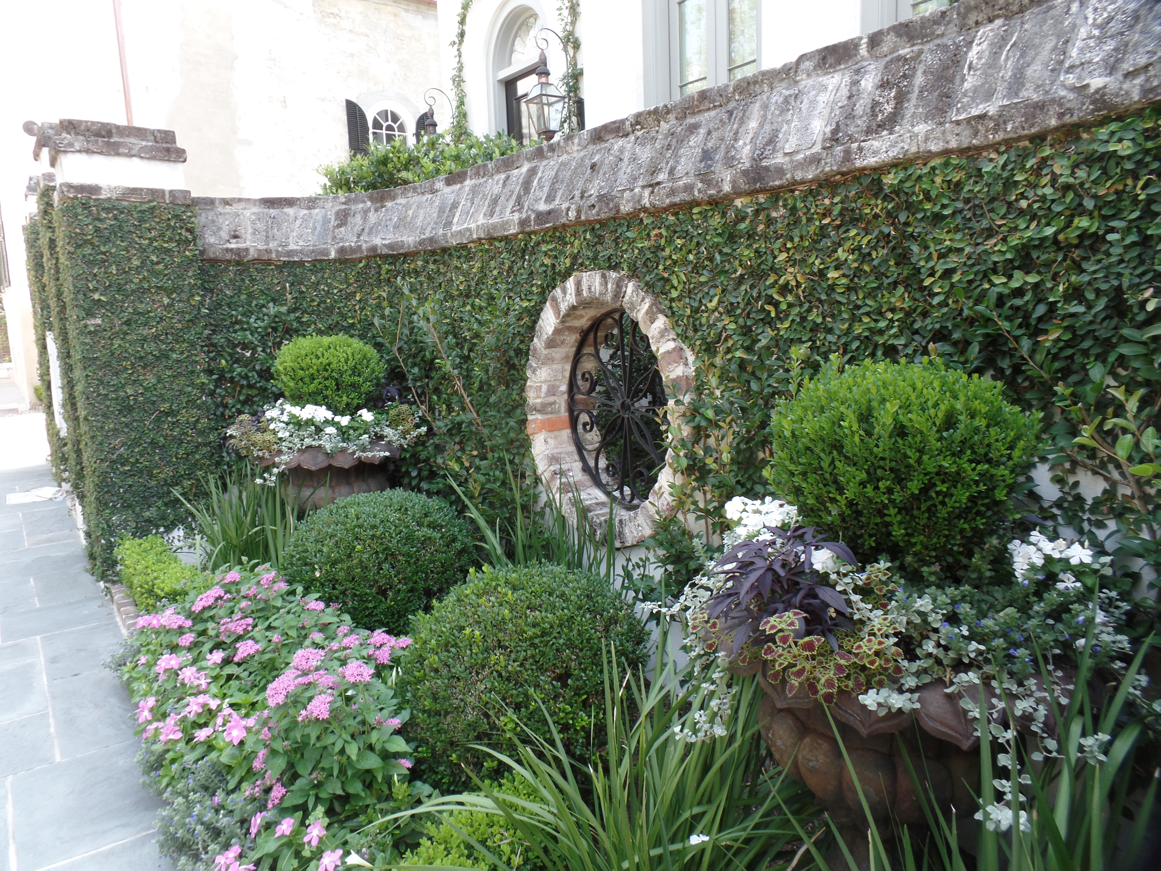 SAMSUNG CAMERA PICTURES