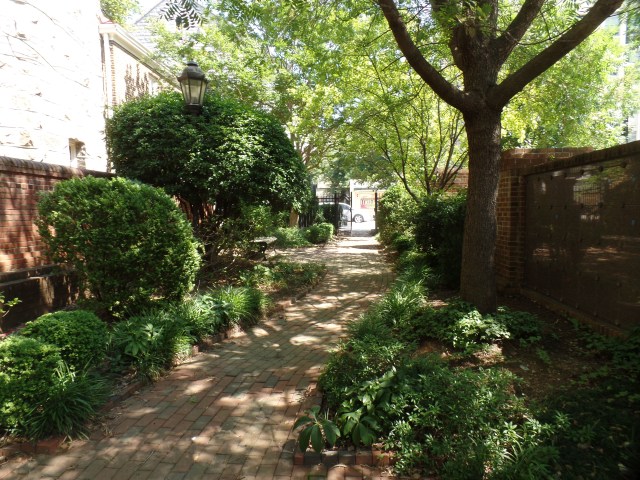 SAMSUNG CAMERA PICTURES