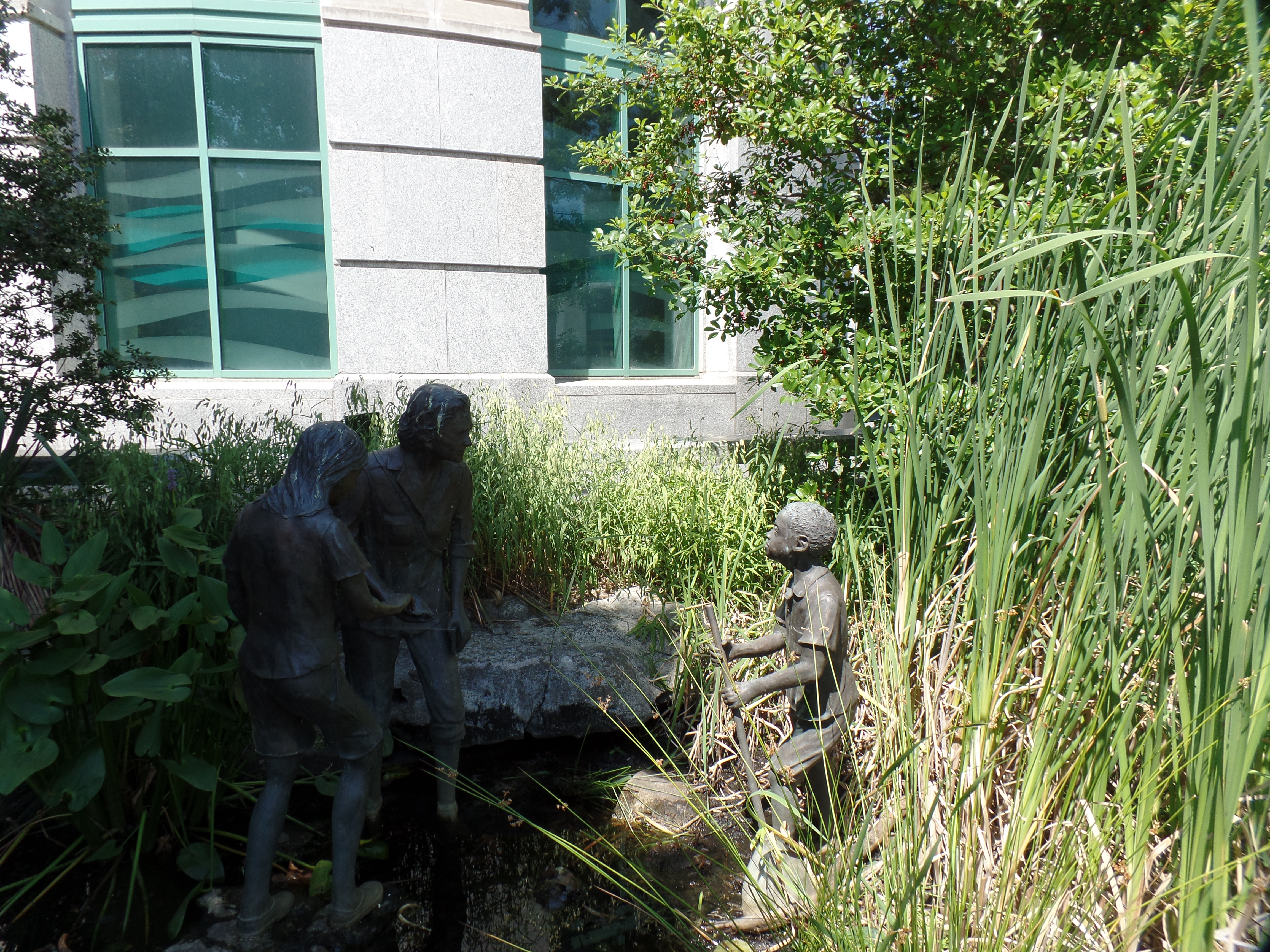 SAMSUNG CAMERA PICTURES