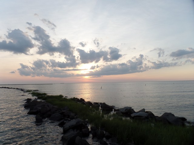 SAMSUNG CAMERA PICTURES