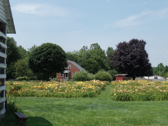 SAMSUNG CAMERA PICTURES