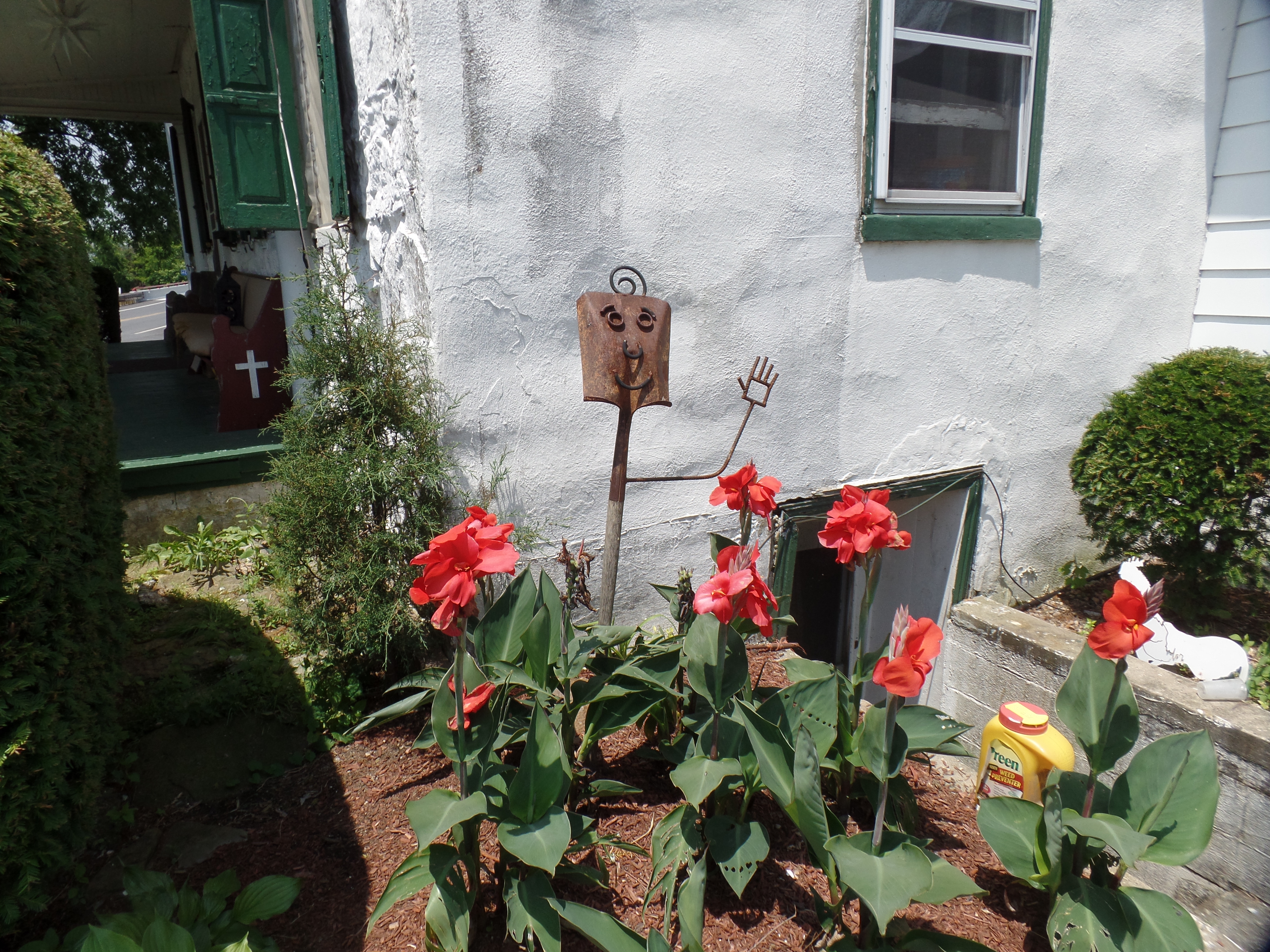 SAMSUNG CAMERA PICTURES