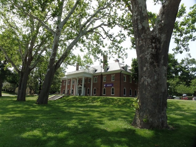 SAMSUNG CAMERA PICTURES