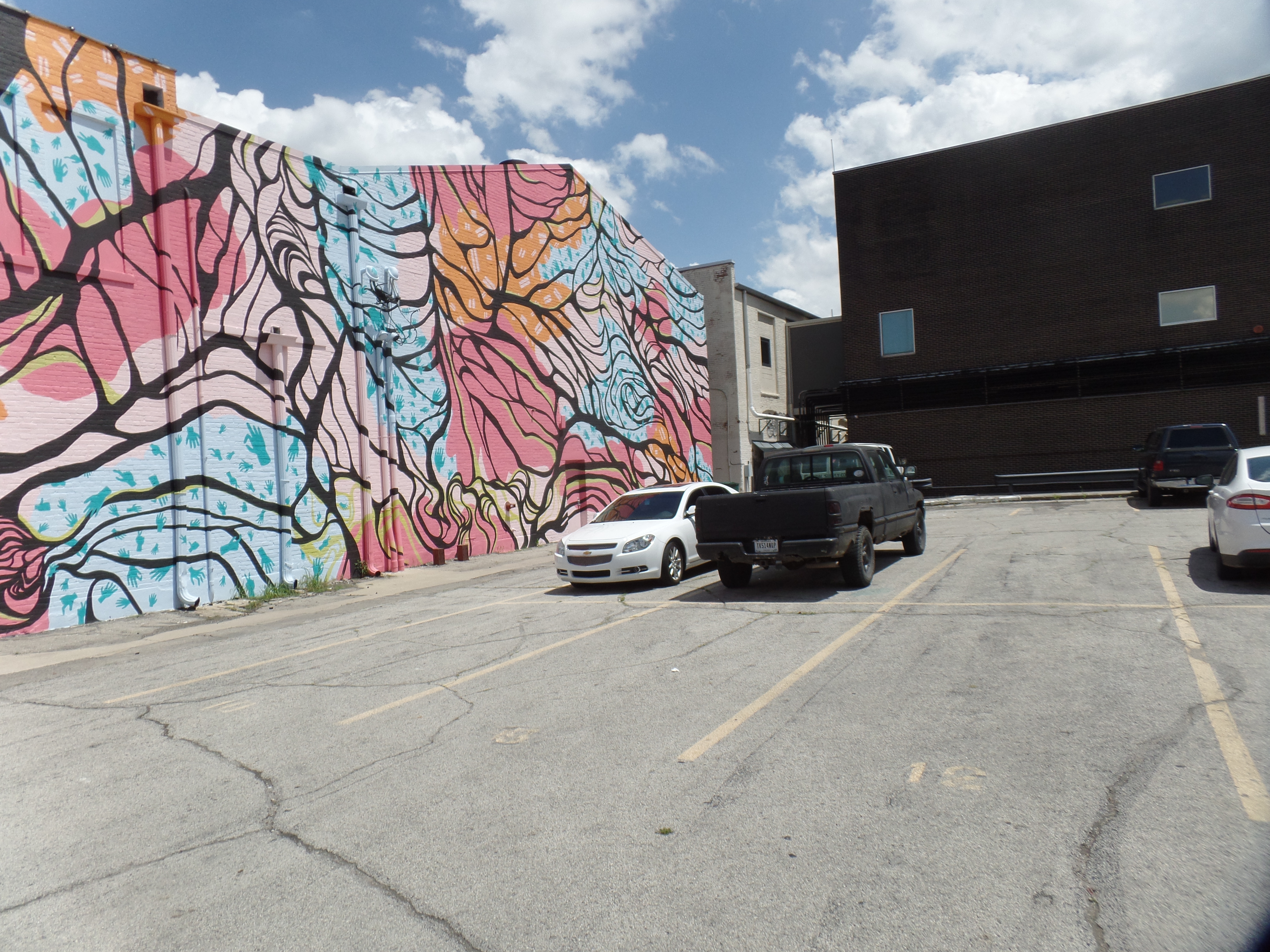 SAMSUNG CAMERA PICTURES