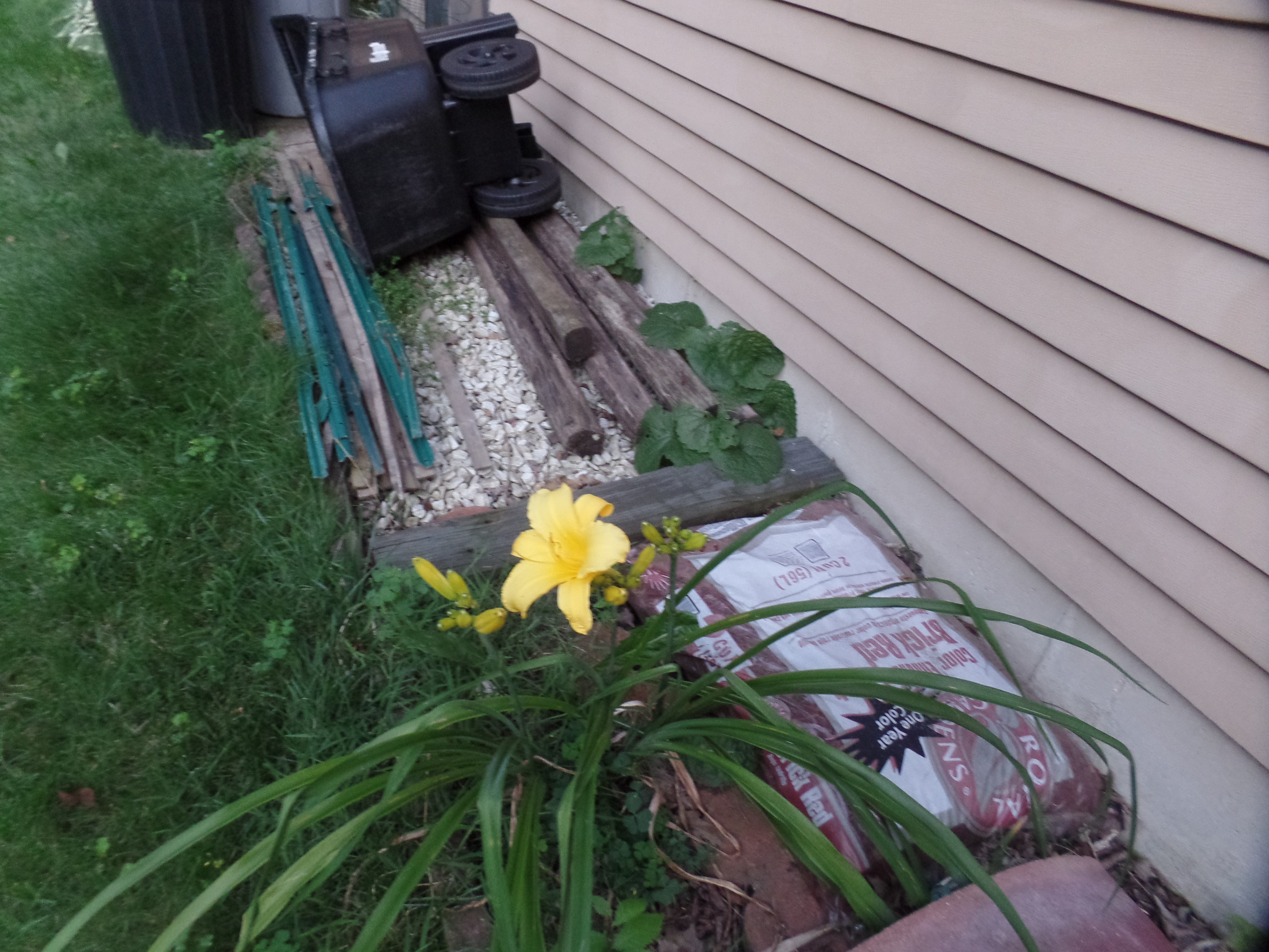 SAMSUNG CAMERA PICTURES