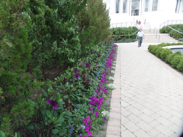 SAMSUNG CAMERA PICTURES