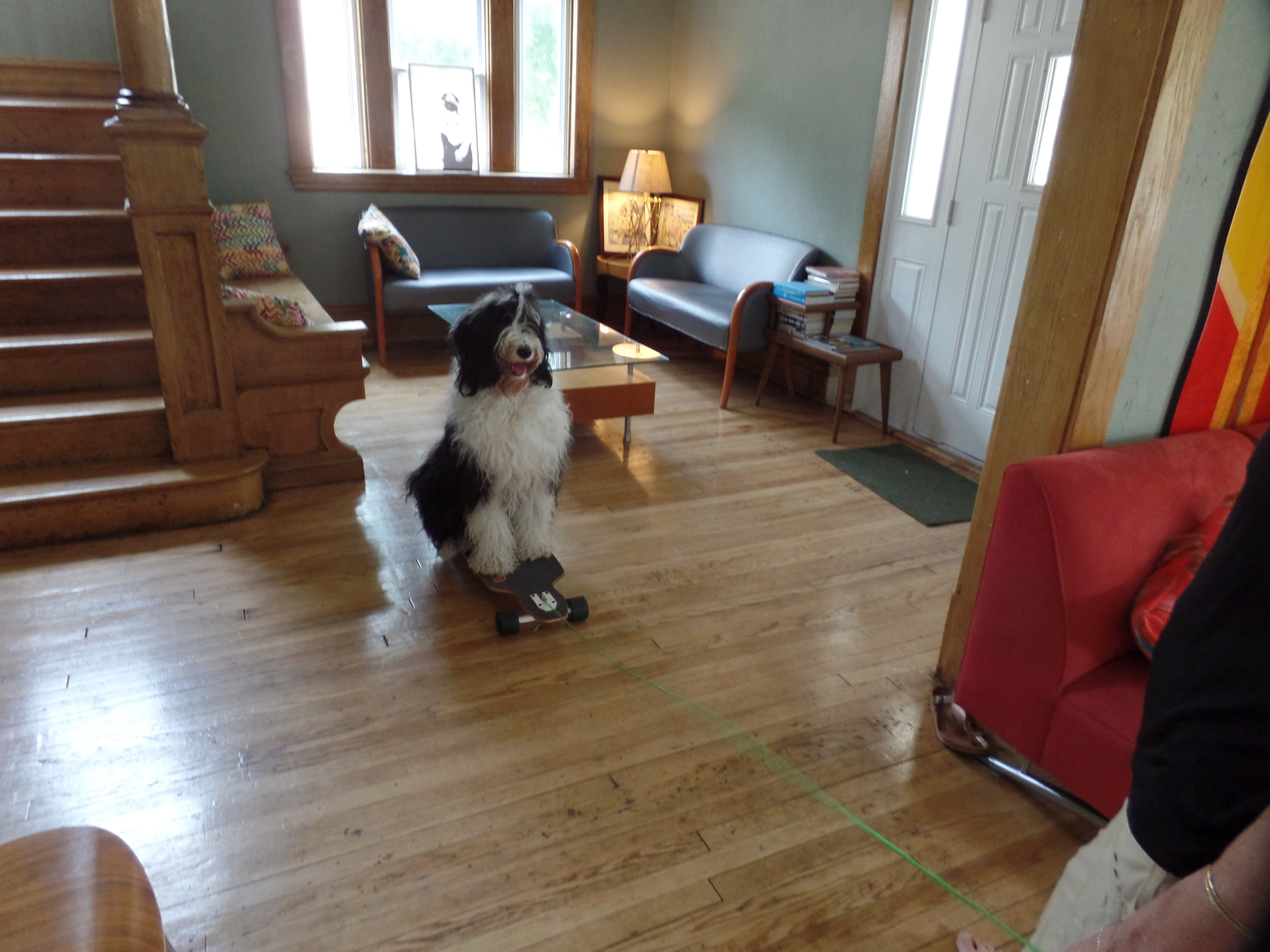 SAMSUNG CAMERA PICTURES