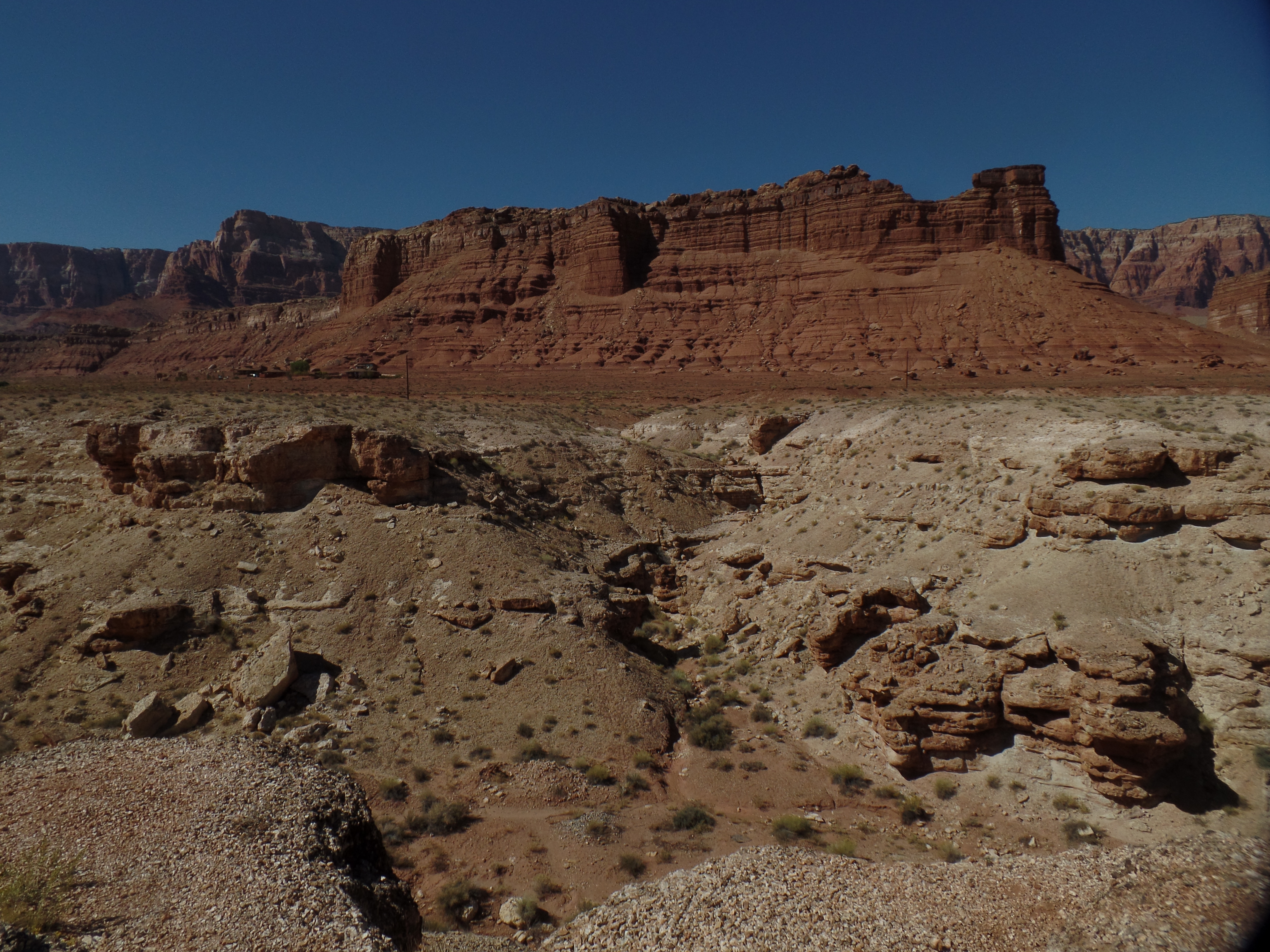 SAMSUNG CAMERA PICTURES