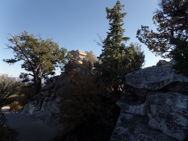 SAMSUNG CAMERA PICTURES