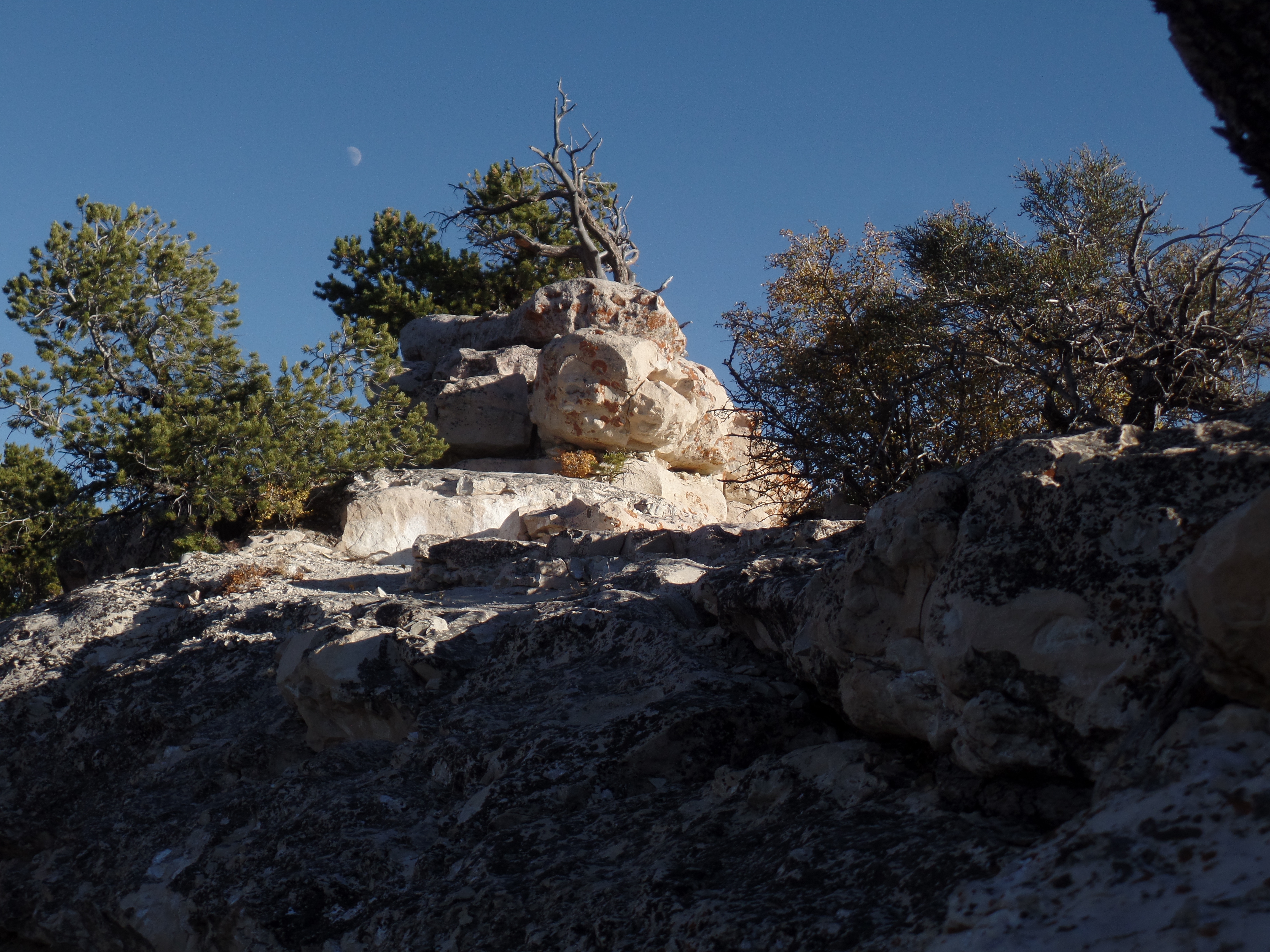 SAMSUNG CAMERA PICTURES