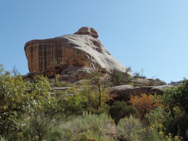 SAMSUNG CAMERA PICTURES