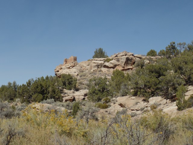 SAMSUNG CAMERA PICTURES