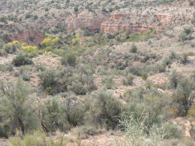 SAMSUNG CAMERA PICTURES