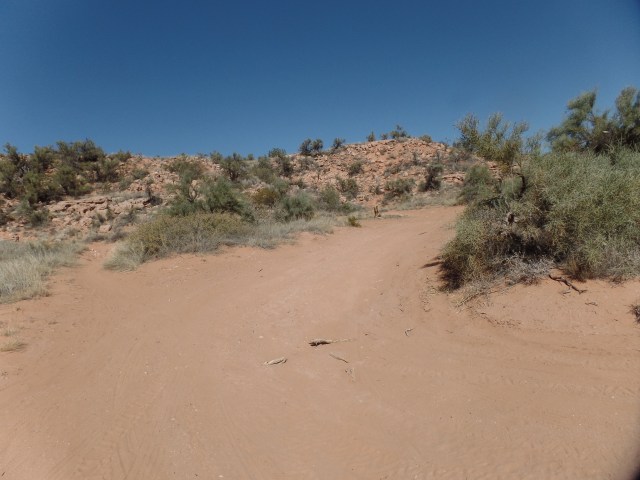 SAMSUNG CAMERA PICTURES