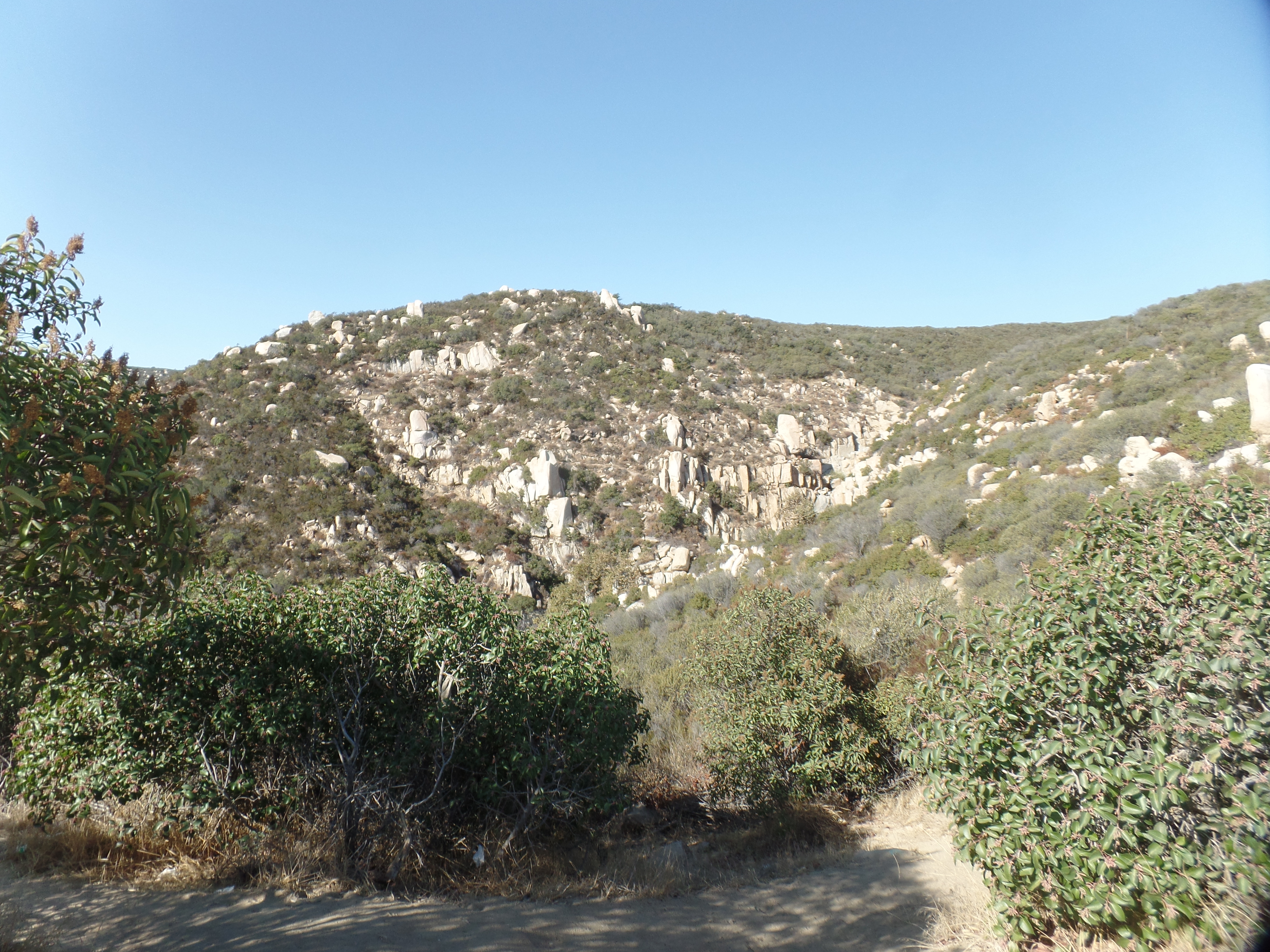 SAMSUNG CAMERA PICTURES