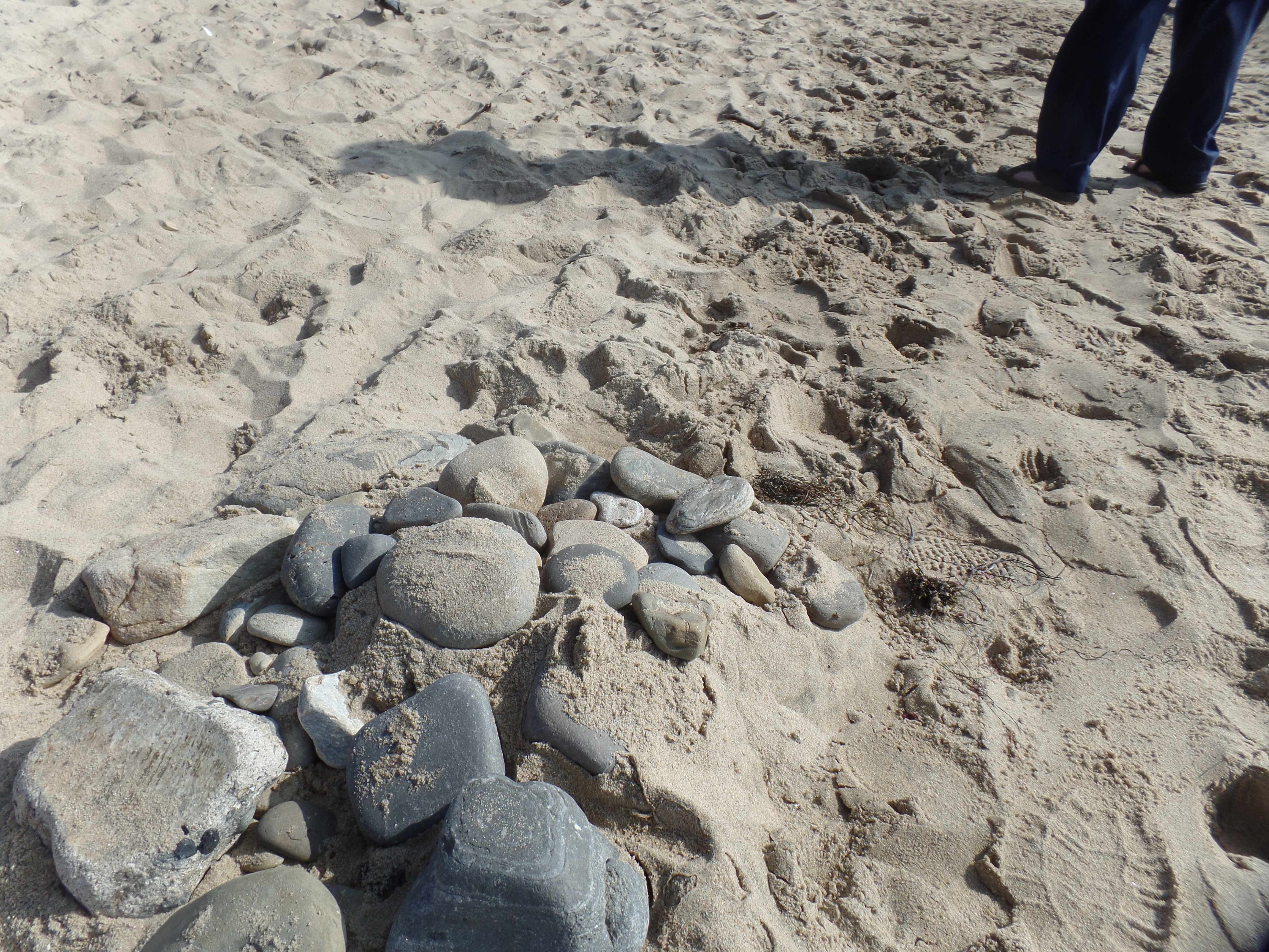 SAMSUNG CAMERA PICTURES