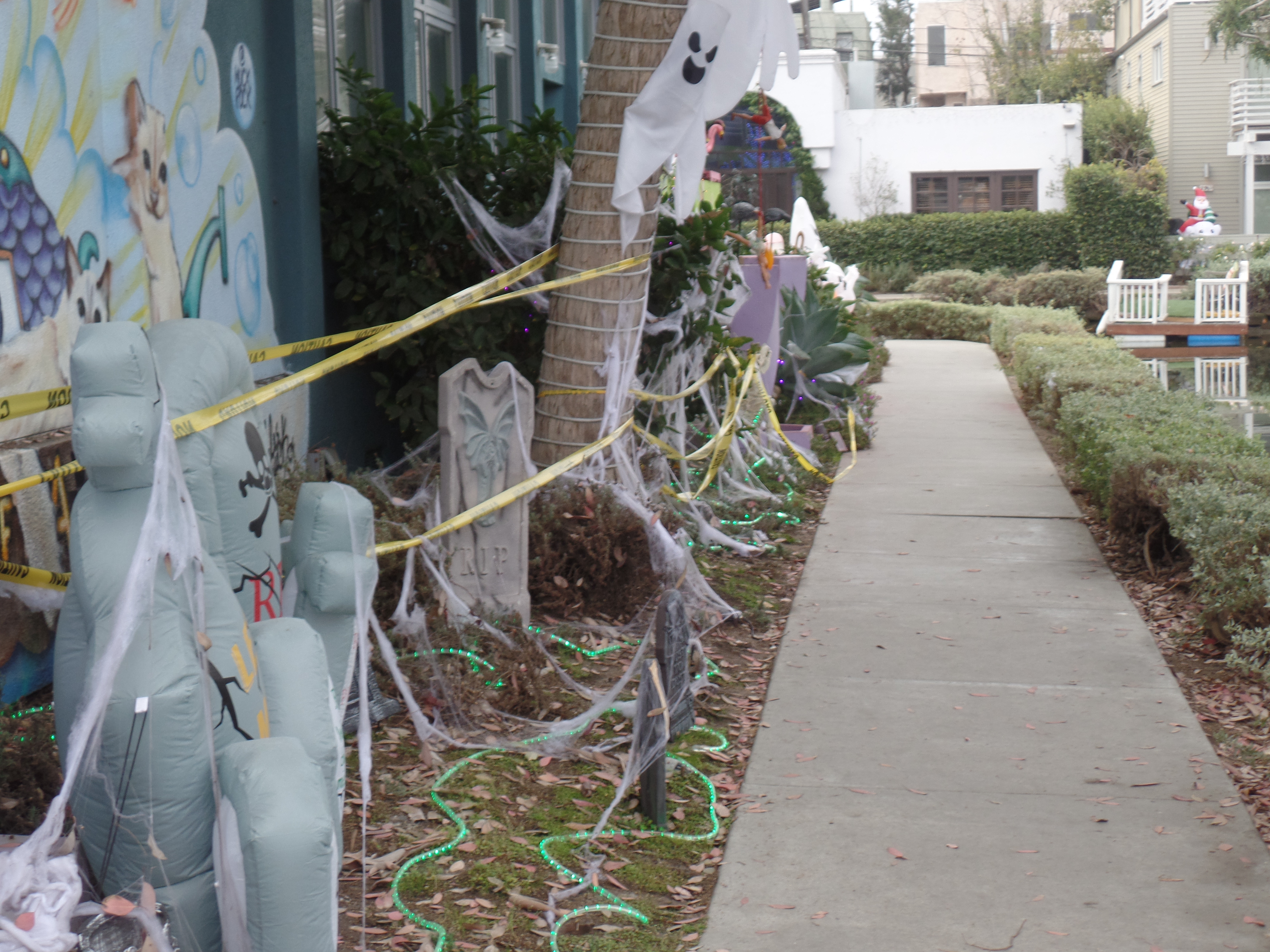 SAMSUNG CAMERA PICTURES