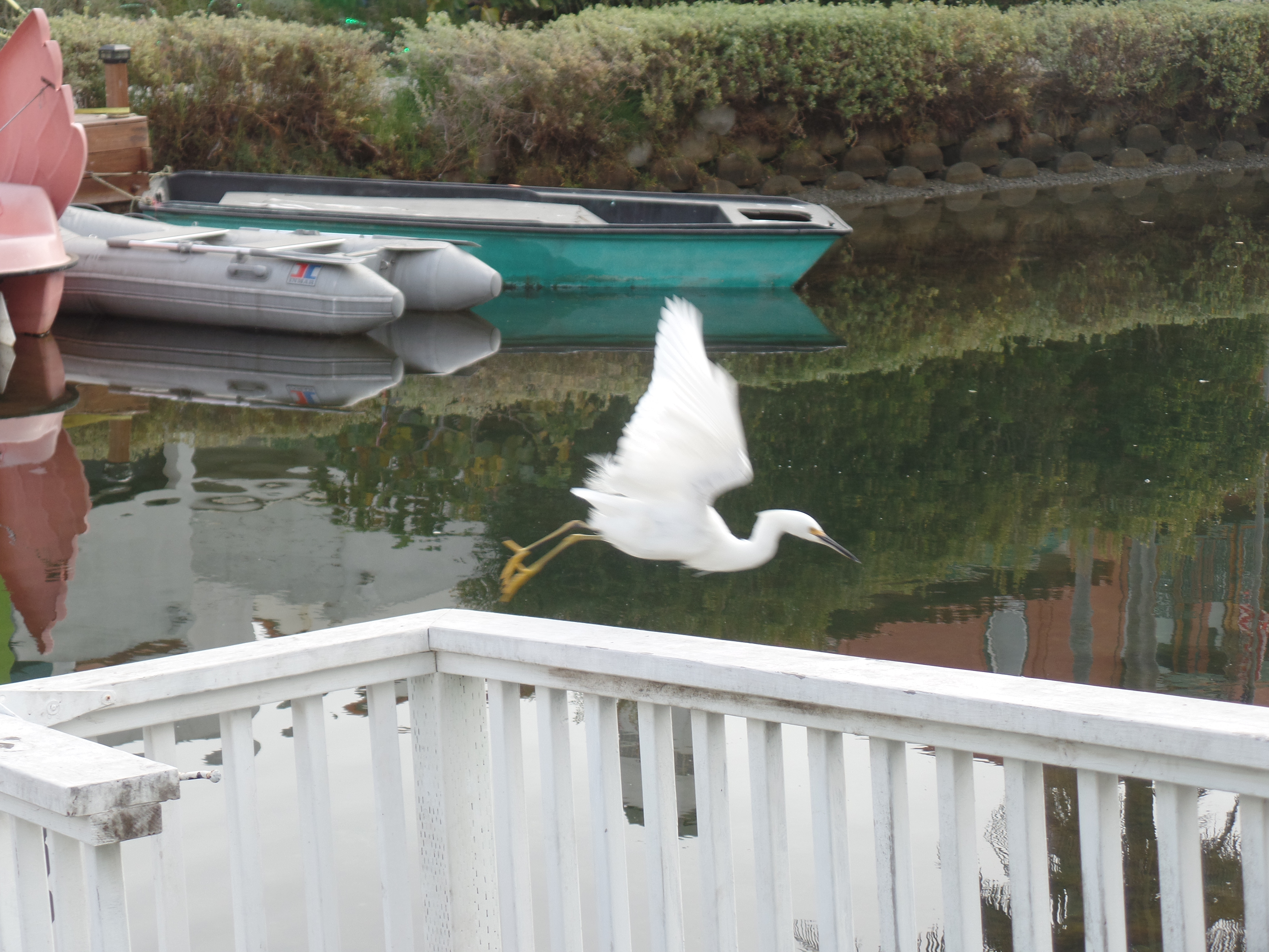 SAMSUNG CAMERA PICTURES