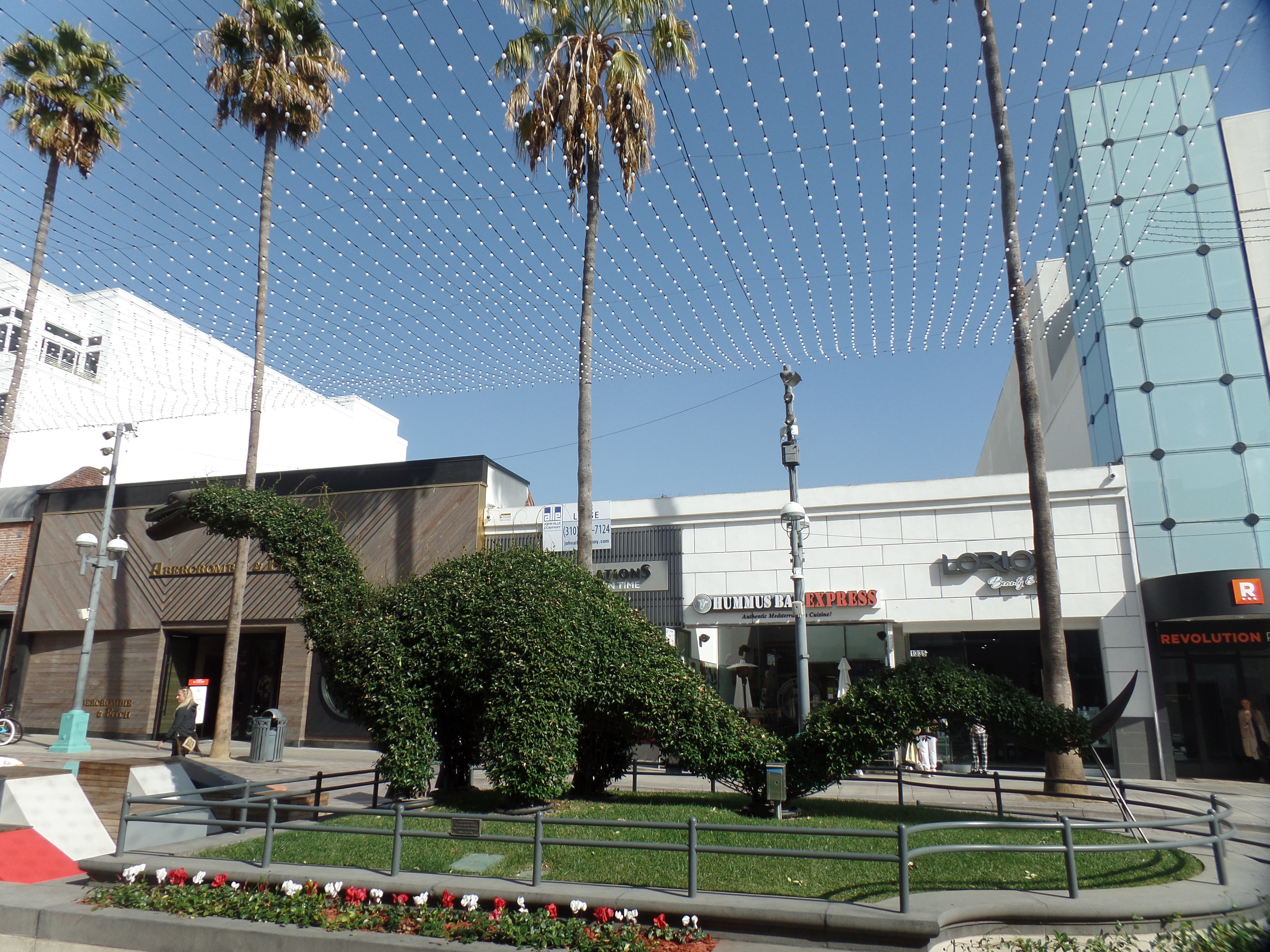 SAMSUNG CAMERA PICTURES