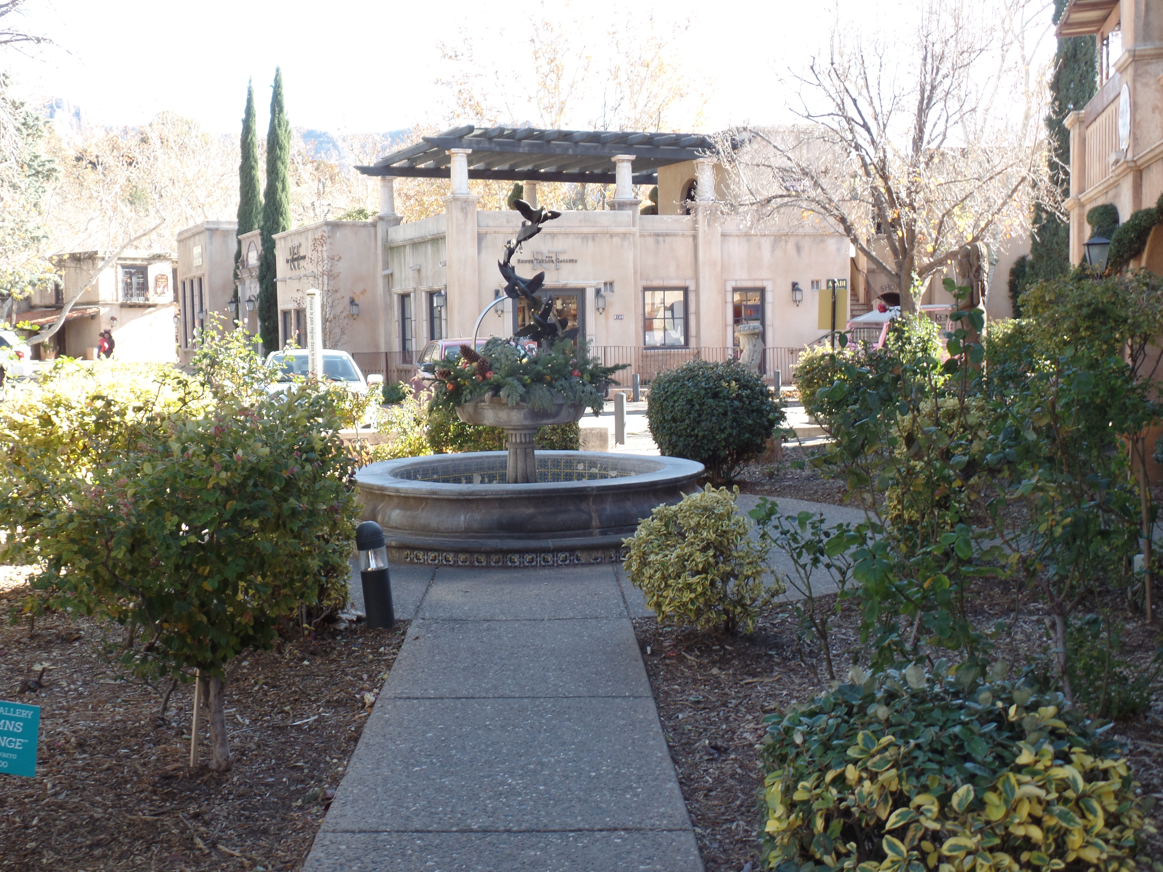 SAMSUNG CAMERA PICTURES