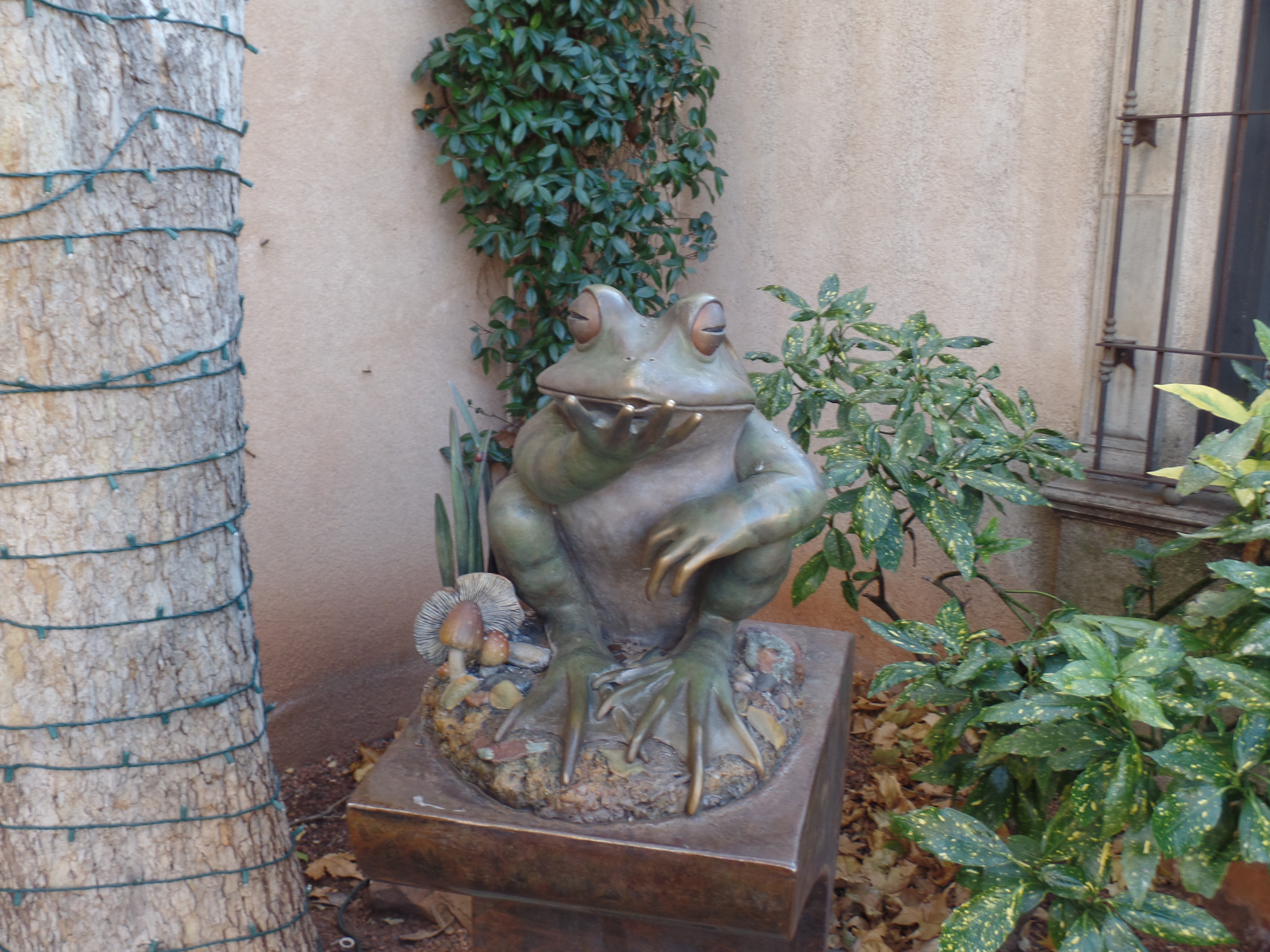 SAMSUNG CAMERA PICTURES