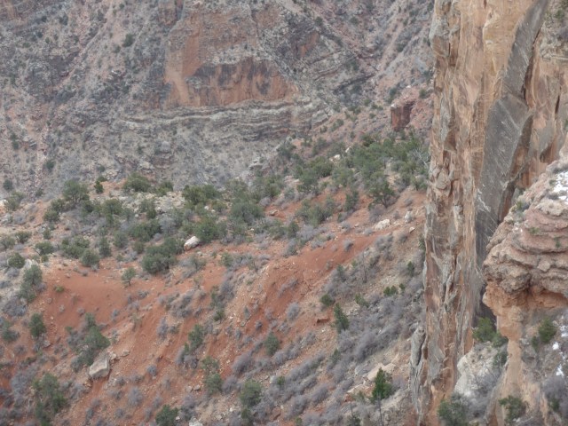 SAMSUNG CAMERA PICTURES