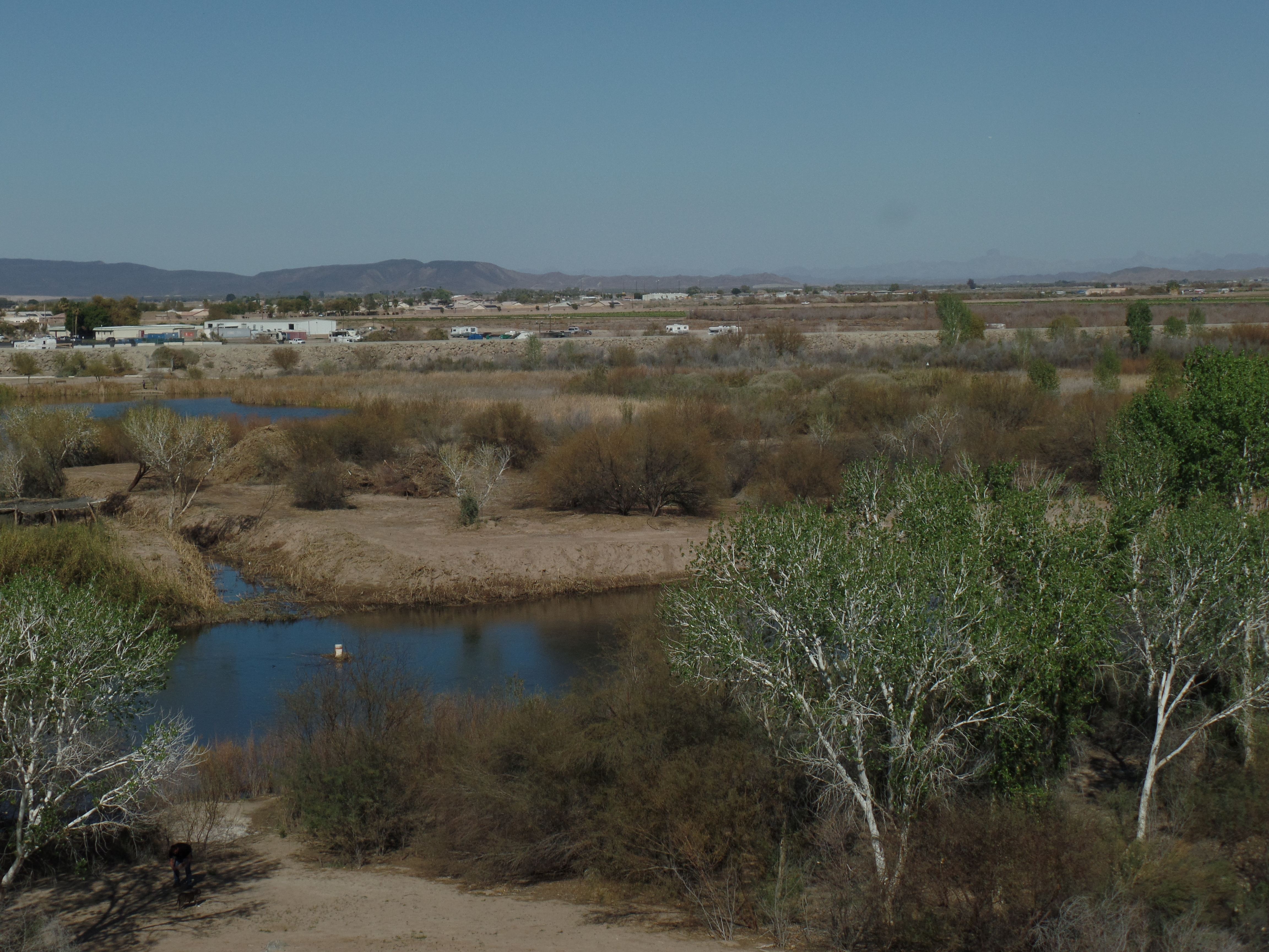 SAMSUNG CAMERA PICTURES